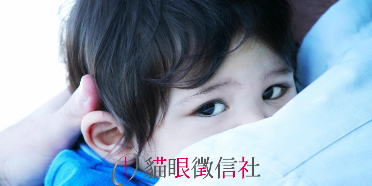 法院如何判定監護權?